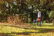 Photo of CRAFTSMAN leaf blower SKU CMCBL720M1 clearing leaves outdoors in a grassy yard.