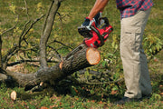 Photo of Craftsman CMCCS620B cordless chainsaw cutting a tree branch outdoors, user wearing gloves and work pants.