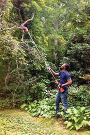 Photo of a person using a Craftsman pole saw CMCCSP20B to trim high branches in a green outdoor garden.