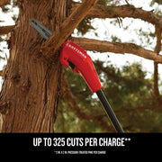 Craftsman pole saw CMCCSP20B cutting a tree branch outdoors, close-up of red saw head and blade.