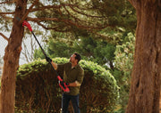 Man using Craftsman pole saw CMCCSP20M1 to trim high tree branches in a garden, outdoor setting.