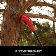 Craftsman pole saw CMCCSP20M1, red and black, trimming tree branch outdoors.
