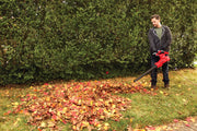 Photo of CRAFTSMAN leaf blower SKU CMEBL7000 in use, blowing leaves on grass near hedges.