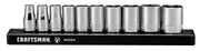 Front angle photo of Craftsman socket set on black rail, SKU CMMT17300V, ten chrome sockets displayed.