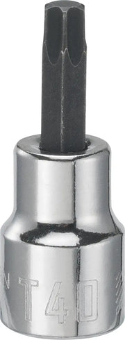 View of CRAFTSMAN Sockets: Bit Sockets on white background